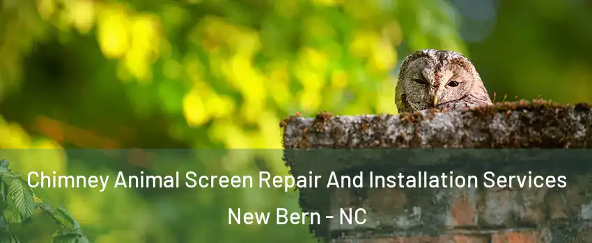  Chimney Animal Screen Repair And Installation Services New Bern - NC