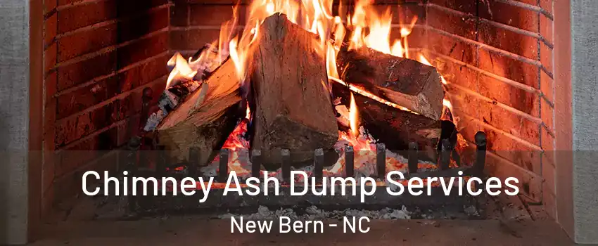  Chimney Ash Dump Services New Bern - NC