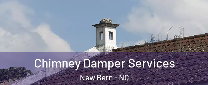  Chimney Damper Services New Bern - NC