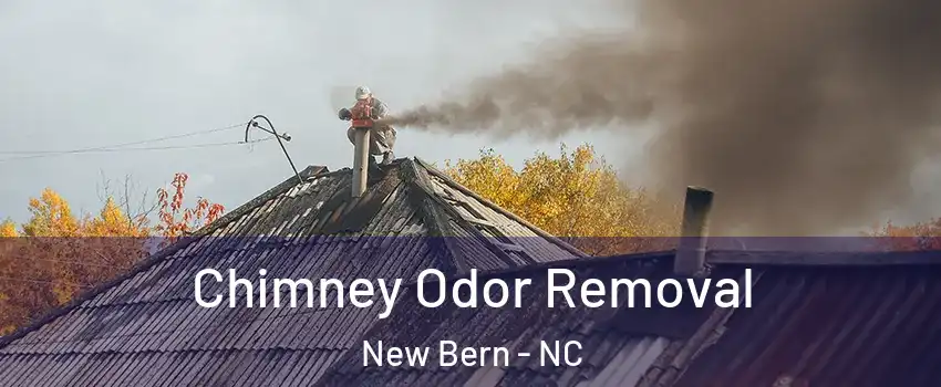 Chimney Odor Removal New Bern - NC