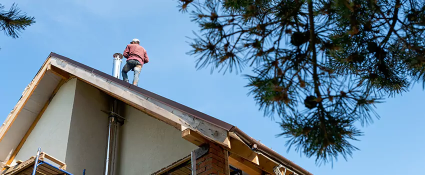 Birds Removal Contractors from Chimney in New Bern, NC