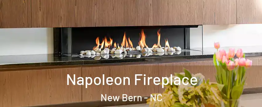  Napoleon Fireplace New Bern - NC